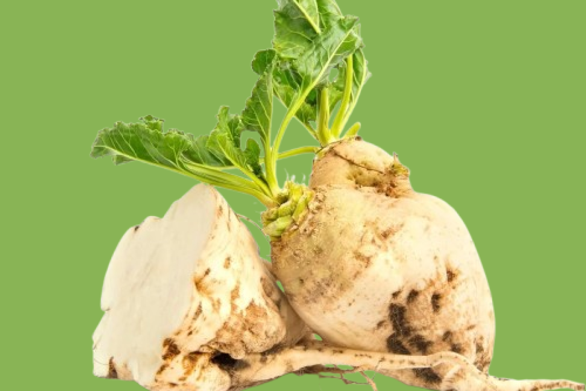 sugar-beet-seeds-538094-removebg-preview (1)